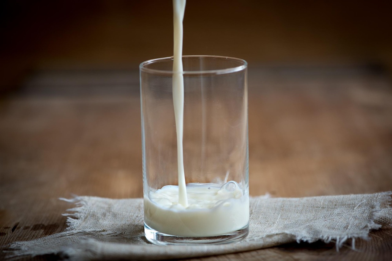 glass, milk, white, cow's milk, drink, fresh, food, nature, whole milk, protein, give a, pour a, flow, milk stream, liquid, wet, close up, nourishment, animal, animal product